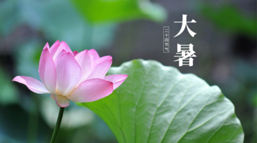 大暑時節(jié)！金環(huán)電器提醒大家注意這些干衣細節(jié)