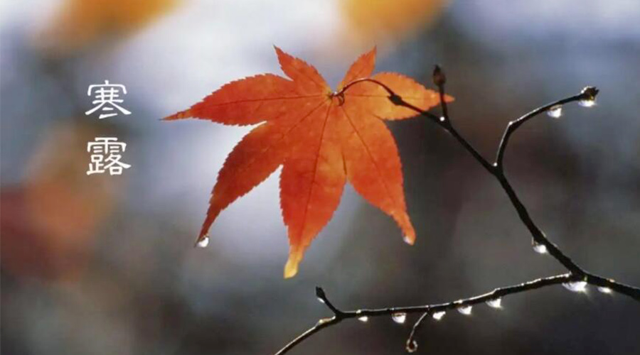 寒露時(shí)節(jié)！金環(huán)電器提醒大家要注意的事項(xiàng)