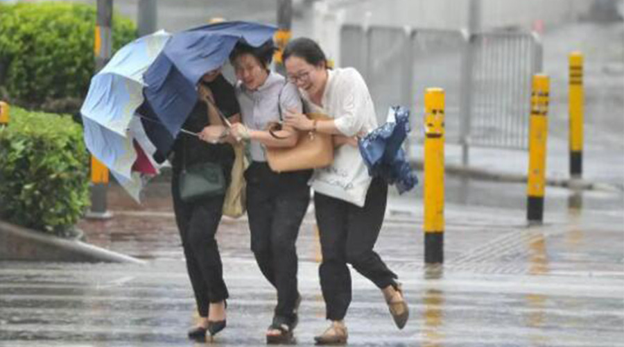 家有衣物烘干機，無懼臺風天吹走和淋濕衣物！