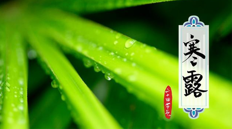 寒露時節(jié)到！金環(huán)電器提醒這些干衣事項要注意