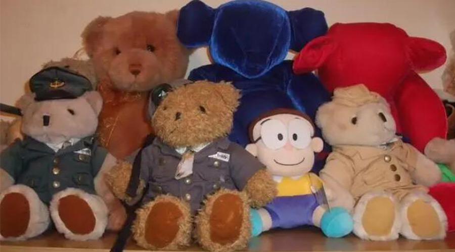 解答！毛公仔可以使用滾筒衣服烘干機除菌嗎