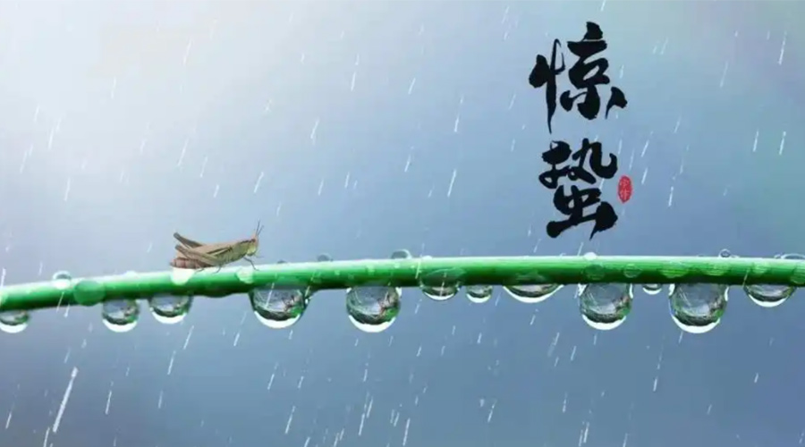 驚蟄時節(jié)！金環(huán)電器提醒大家干衣要注意這些