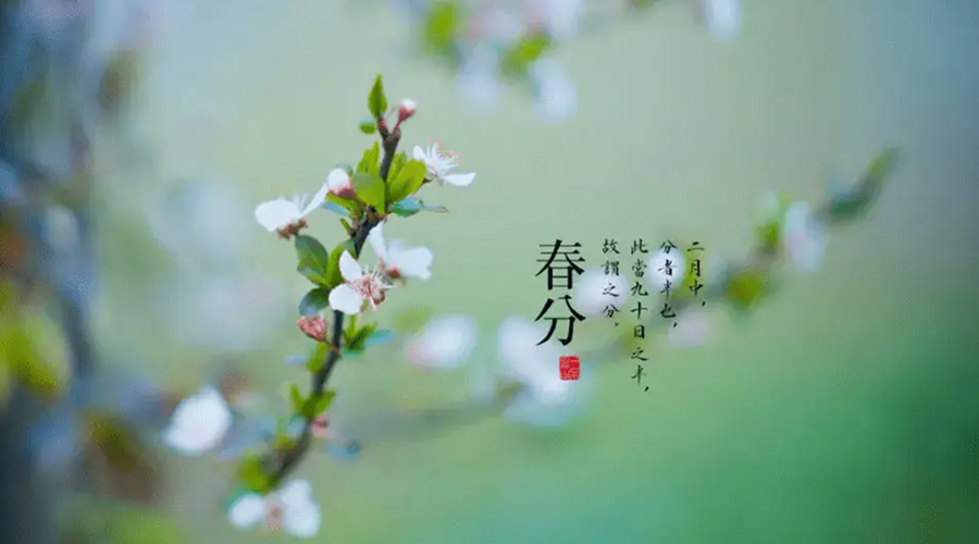 春分雨水多易生菌！金環(huán)電器提醒你衣物要注意處理