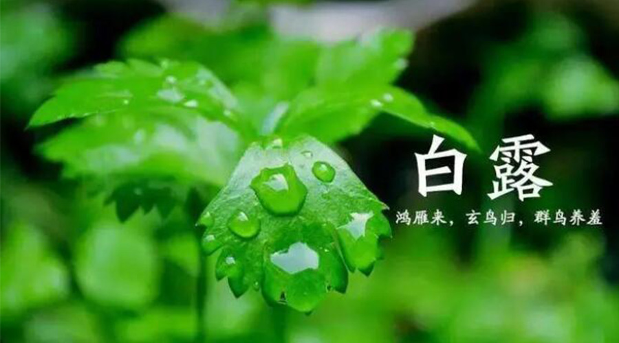 白露時(shí)節(jié)！金環(huán)電器提醒大家要注意的事項(xiàng)