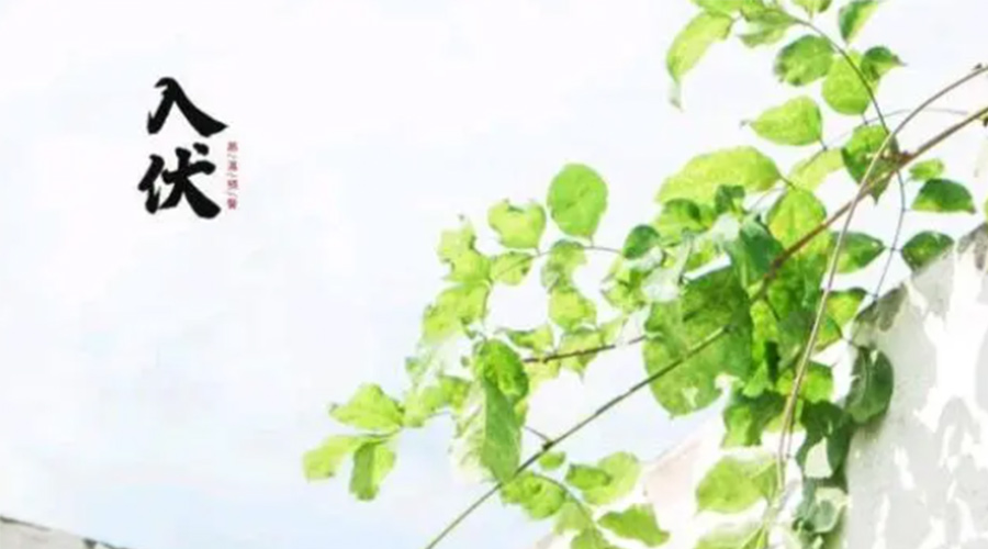 初伏時(shí)節(jié)！金環(huán)電器提醒大家要注意的事項(xiàng)