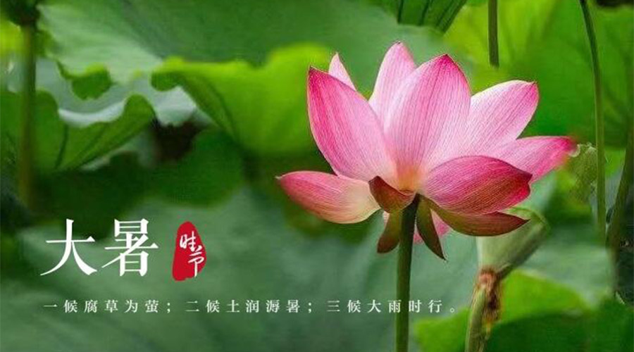 大暑時(shí)節(jié)！金環(huán)電器提醒大家要注意的事項(xiàng)